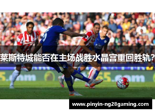 莱斯特城能否在主场战胜水晶宫重回胜轨? 莱斯特城能否在主场战胜水晶宫重回胜轨?