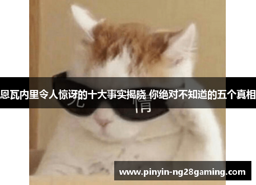 恩瓦内里令人惊讶的十大事实揭晓 你绝对不知道的五个真相