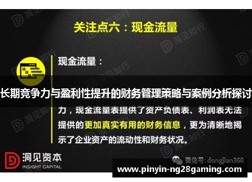 长期竞争力与盈利性提升的财务管理策略与案例分析探讨 长期竞争力与盈利性提升的财务管理策略与案例分析探讨